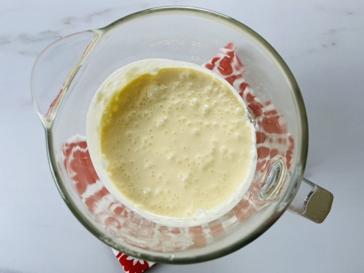 Um liquidificador com a mistura de óleo, queijo parmesão, leite, sal e goma.