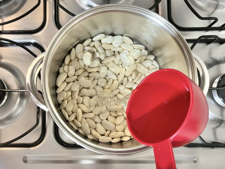 Grãos de fava coberto por água em uma panela