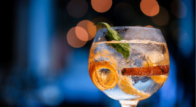 32 receitas de gin com especiarias para aguçar o seu paladar